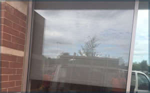 lexan glass